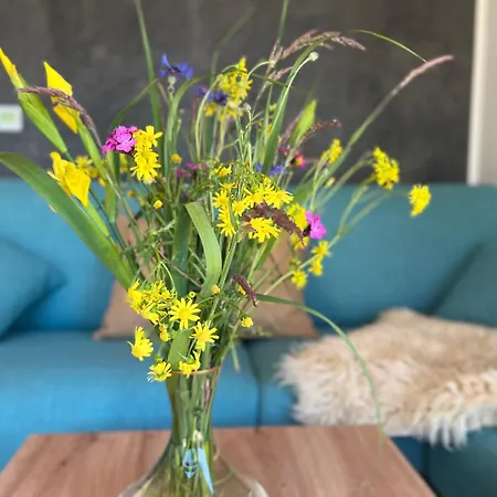 Am In Koerba * Lebusa