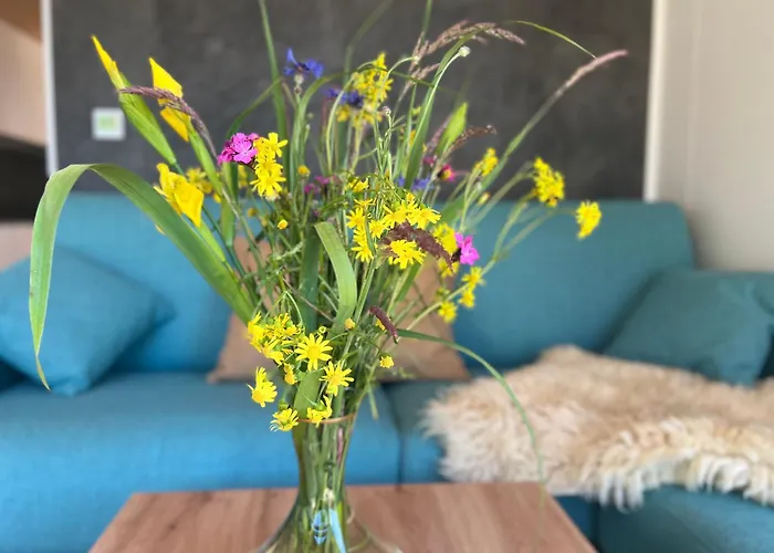 Am In Koerba * Lebusa